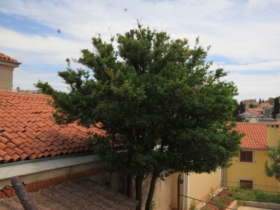 Apartment One bedroom apartment with terrace Mali Lošinj, Lošinj A-2486-a - Outdoor photo 23