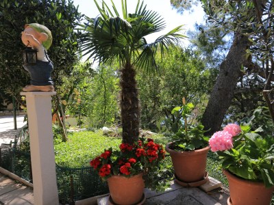 Apartment Two bedroom apartment near beach Lokva Rogoznica, Omiš A-2762-a - Outdoor photo 14