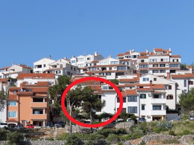 Apartment One bedroom apartment with terrace and sea view Mali Lošinj, Lošinj A-2505-b - Outdoor photo 2