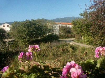 Apartment One bedroom apartment with terrace and sea view Nerezine, Lošinj A-2516-a - Outdoor photo 21