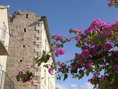 Apartment One bedroom apartment with balcony and sea view Bol, Brač A-2899-d - Outdoor photo 7