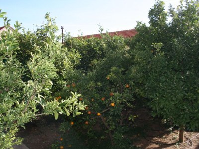Apartment One bedroom apartment with balcony and sea view Bol, Brač A-2899-d - Outdoor photo 9