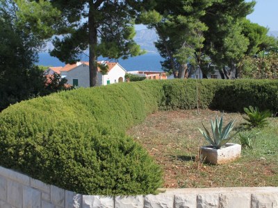 Apartment One bedroom apartment with terrace and sea view Postira, Brač A-2913-b - Outdoor photo 7
