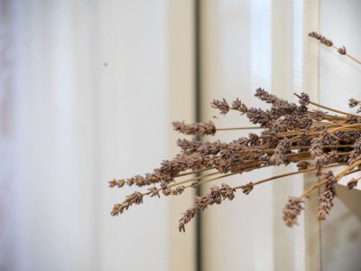 Apartment One bedroom apartment with terrace and sea view Postira, Brač A-2913-b - Outdoor photo 19