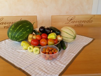 Holiday house Villa Lavanda - Outdoor photo 2