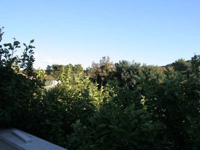 Apartment One bedroom apartment with terrace Povlja, Brač A-2922-b - Outdoor photo 12