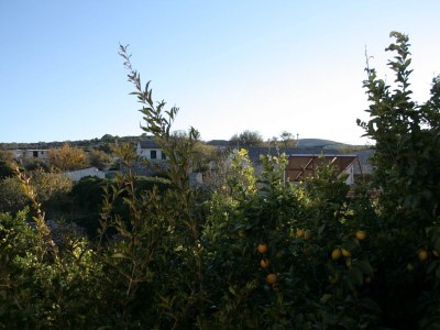Apartment One bedroom apartment with terrace Povlja, Brač A-2922-b - Outdoor photo 14