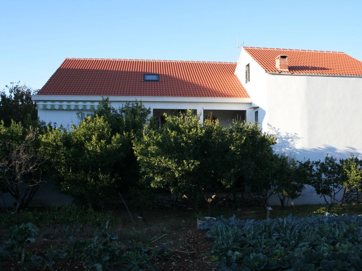 Apartment One bedroom apartment with terrace Povlja, Brač A-2922-c - Outdoor photo 2