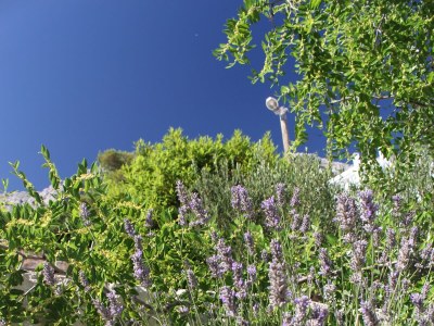 Apartment Three bedroom apartment near beach Mimice, Omiš A-2774-b - Outdoor photo 9