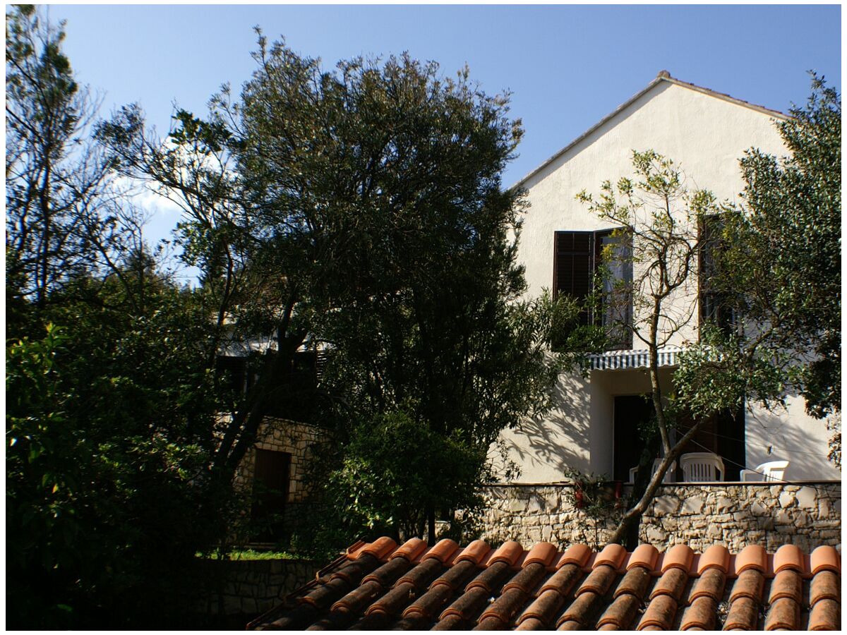 Apartment Three bedroom apartment with terrace Žrnovska Banja, Korčula A-3154-a