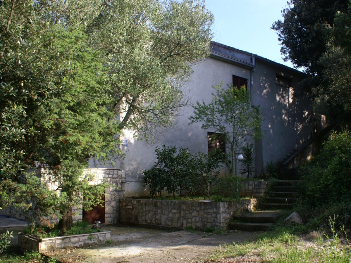Apartment Three bedroom apartment with terrace Žrnovska Banja, Korčula A-3154-a - Outdoor photo 2