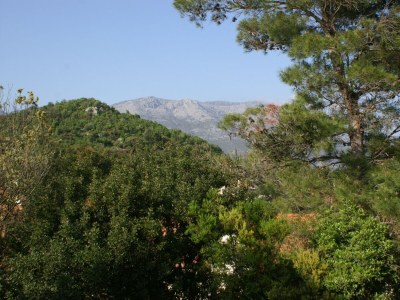 Apartment Three bedroom apartment with terrace Žrnovska Banja, Korčula A-3154-a - Outdoor photo 29