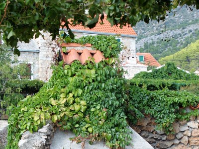 Apartment One bedroom apartment with terrace and sea view Bol, Brač A-2900-b - Outdoor photo 9
