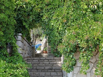 Apartment Two bedroom apartment with balcony and sea view Bol, Brač A-2900-d - Outdoor photo 10