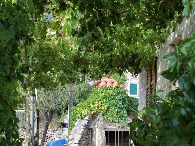 Apartment Two bedroom apartment with terrace and sea view Bol, Brač A-2900-e - Outdoor photo 10