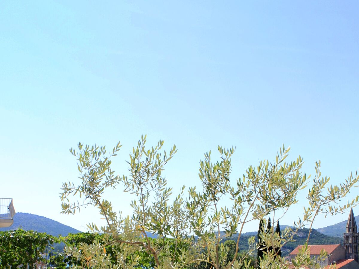 Apartment One bedroom apartment with balcony and sea view Slano, Dubrovnik A-3183-d - Outdoor photo 5