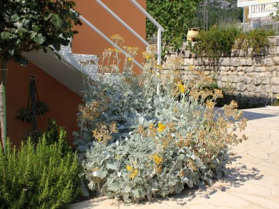 Apartment Two bedroom apartment with balcony and sea view Slano, Dubrovnik A-3184-a - Outdoor photo 7