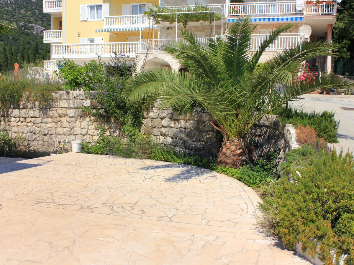 Apartment Two bedroom apartment with balcony and sea view Slano, Dubrovnik A-3184-c - Outdoor photo 5