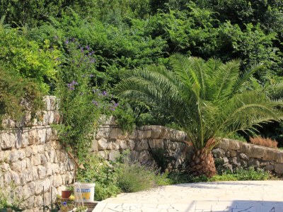 Apartment Studio flat with air-conditioning Slano, Dubrovnik AS-3184-d - Outdoor photo 7