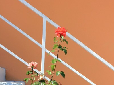 Apartment Studio flat with air-conditioning Slano, Dubrovnik AS-3184-d - Outdoor photo 9