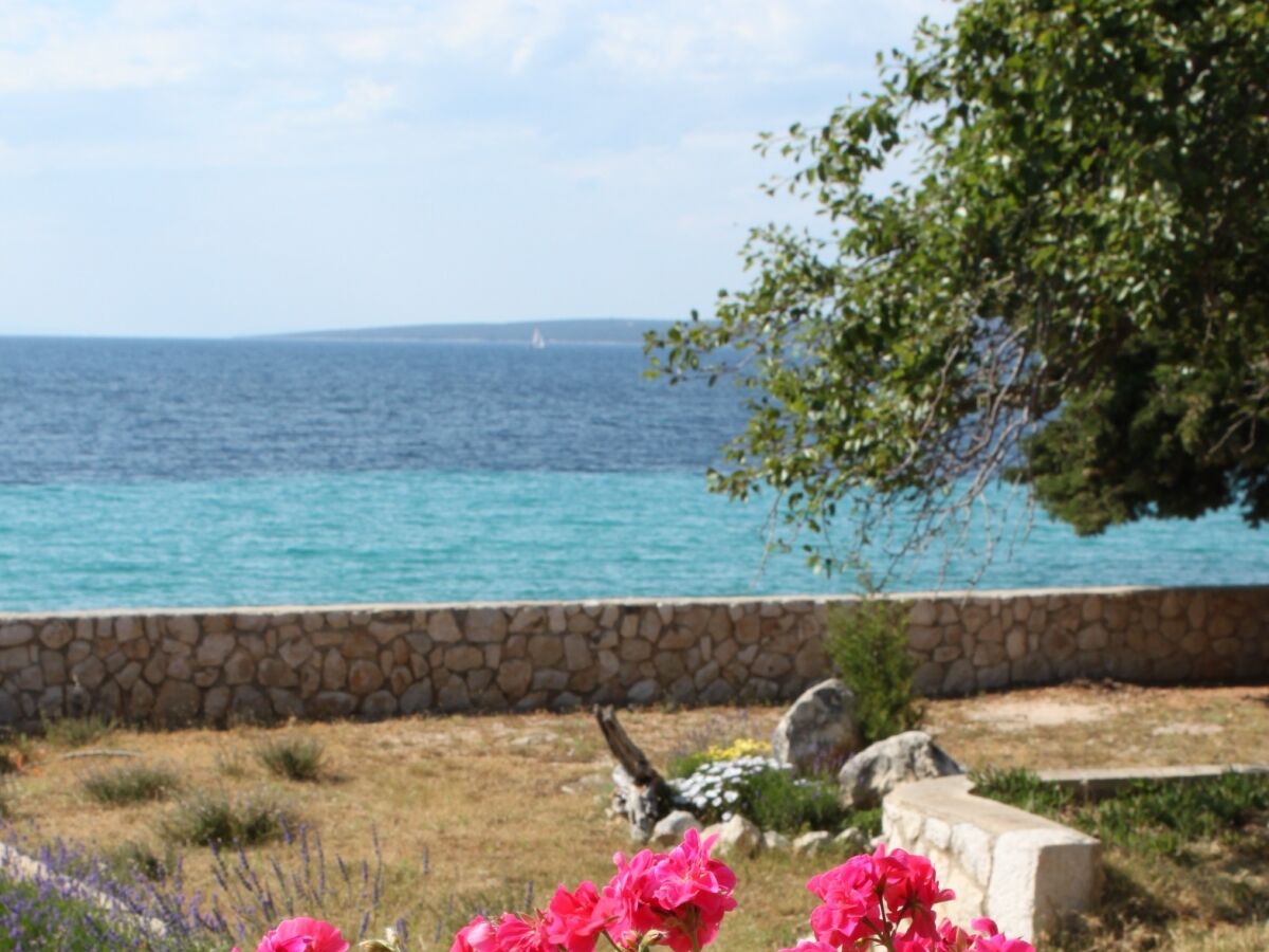 Apartment One bedroom apartment near beach Lun, Pag A-3320-c - Outdoor photo 5