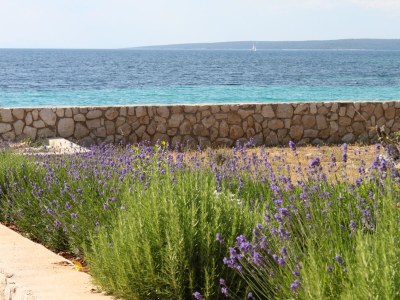 Apartment One bedroom apartment near beach Lun, Pag A-3320-c in Lun - Apartment