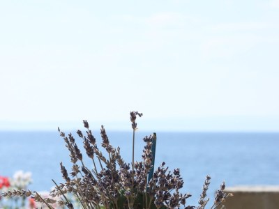 Apartment One bedroom apartment near beach Lun, Pag A-3320-c - Outdoor photo 8