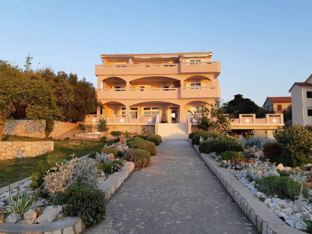 Apartment One bedroom apartment near beach Lun, Pag A-3320-e