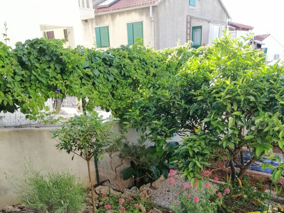 Apartment Two bedroom apartment with terrace and sea view Postira, Brač A-2911-b - Outdoor photo 5