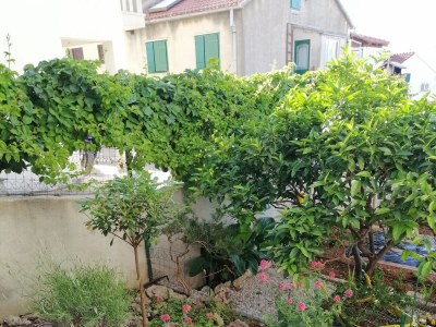 Apartment Two bedroom apartment with terrace and sea view Postira, Brač A-2911-b - Outdoor photo 5