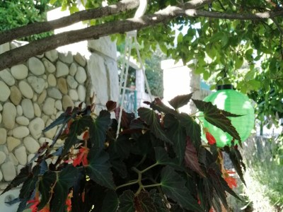 Apartment Two bedroom apartment with terrace and sea view Postira, Brač A-2911-b - Outdoor photo 12