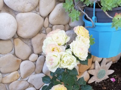 Apartment Two bedroom apartment with terrace and sea view Postira, Brač A-2911-b - Outdoor photo 16