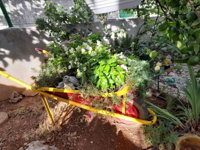 Apartment Two bedroom apartment with terrace and sea view Postira, Brač A-2911-c - Outdoor photo 9