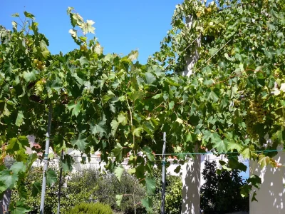 Apartment One bedroom apartment with terrace and sea view Postira, Brač A-2919-a - Outdoor photo 8