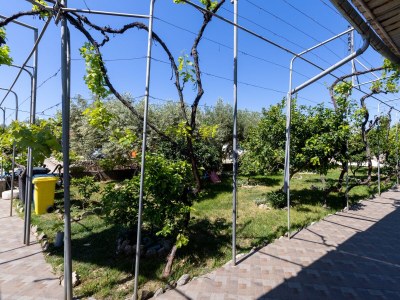 Apartment Studio flat with terrace and sea view Sućuraj, Hvar AS-3589-k - Outdoor photo 19