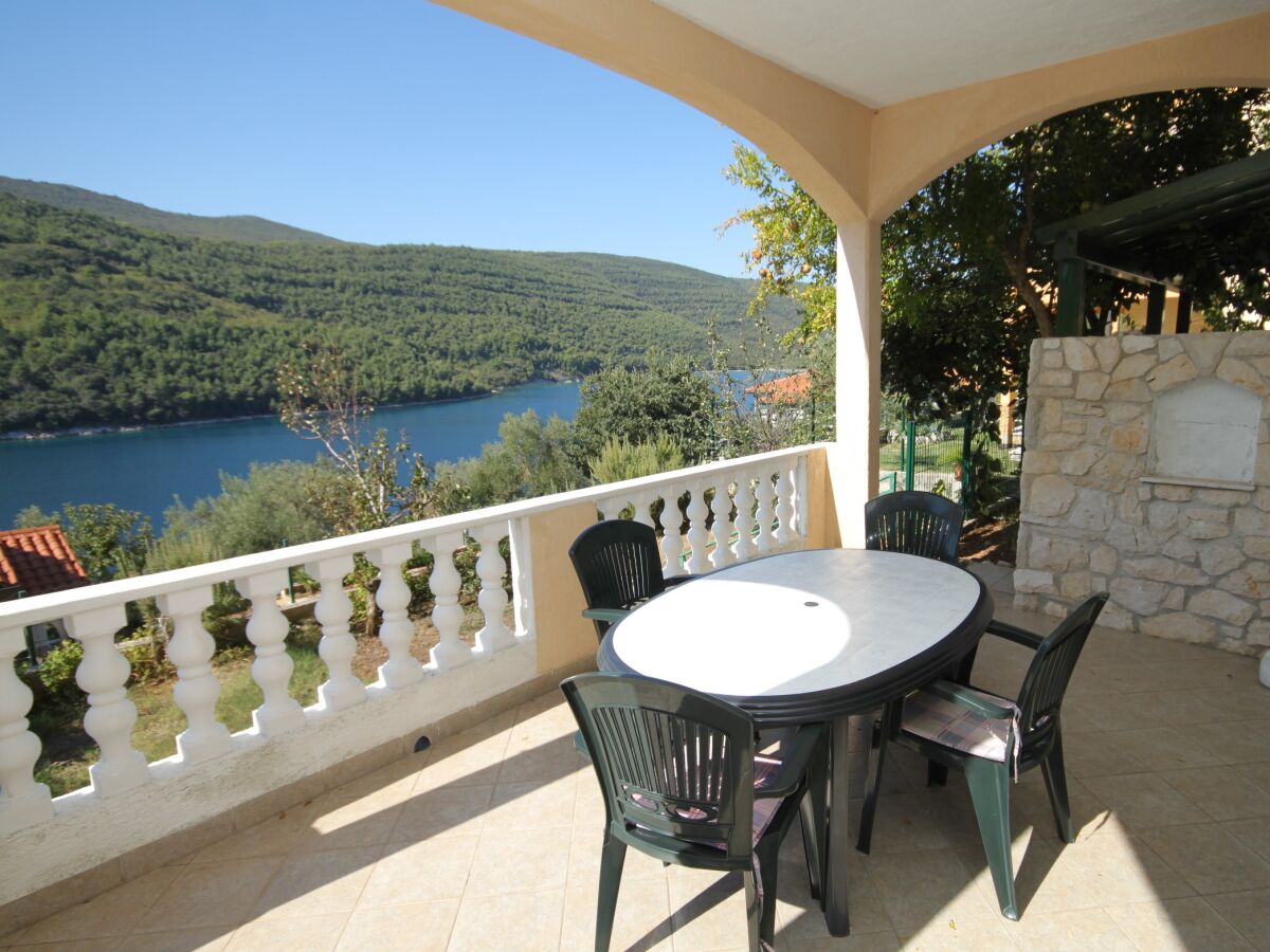 Apartment One bedroom apartment with terrace and sea view Duga Luka (Prtlog), Labin A-3025-b