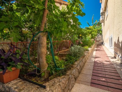 Apartment One bedroom apartment with terrace and sea view Jelsa, Hvar A-4017-a - Outdoor photo 16