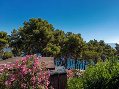 Apartment One bedroom apartment with terrace and sea view Jelsa, Hvar A-4017-a - Outdoor photo 38