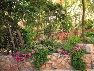 Apartment Two bedroom apartment with terrace Jelsa, Hvar A-4017-c - Outdoor photo 13