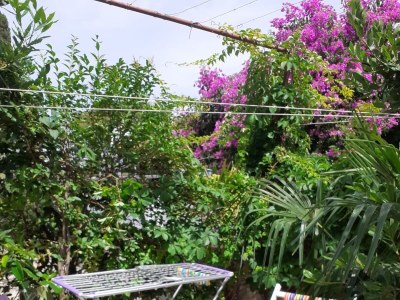 Apartment Two bedroom apartment with terrace Jelsa, Hvar A-4017-c - Outdoor photo 37