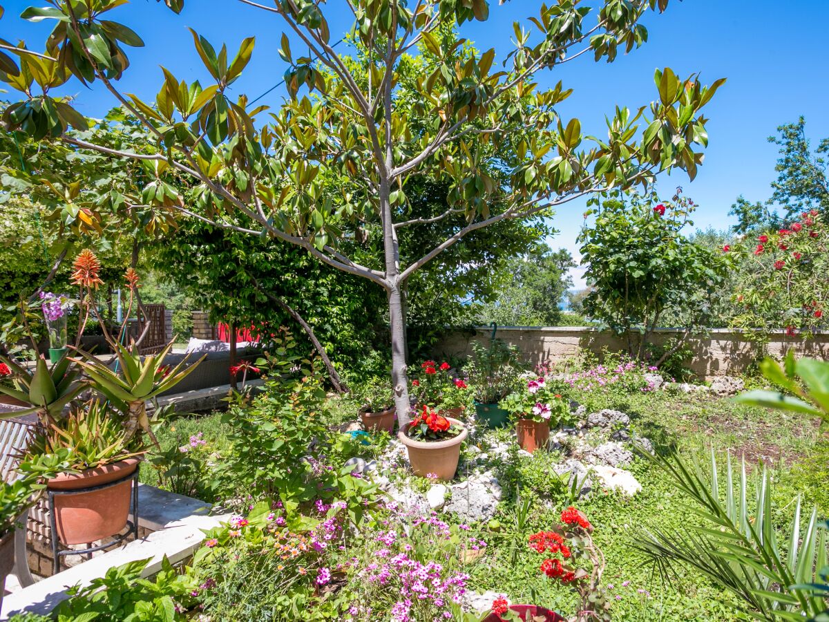 Apartment Three bedroom apartment with terrace and sea view Mirca, Brač A-732-b - Outdoor photo 4