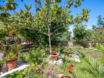 Apartment Three bedroom apartment with terrace and sea view Mirca, Brač A-732-b - Outdoor photo 4