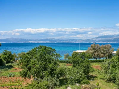 Apartment Three bedroom apartment with terrace and sea view Mirca, Brač A-732-b - Outdoor photo 22