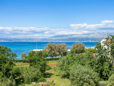 Apartment Three bedroom apartment with terrace and sea view Mirca, Brač A-732-b - Outdoor photo 23