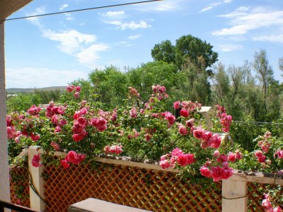 Apartment Apartments with parking space Povljana, Pag - 227 - Outdoor photo 30