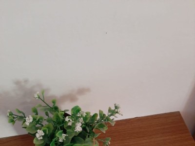 Apartment Studio flat Trpanj, Pelješac AS-250-a - Outdoor photo 9