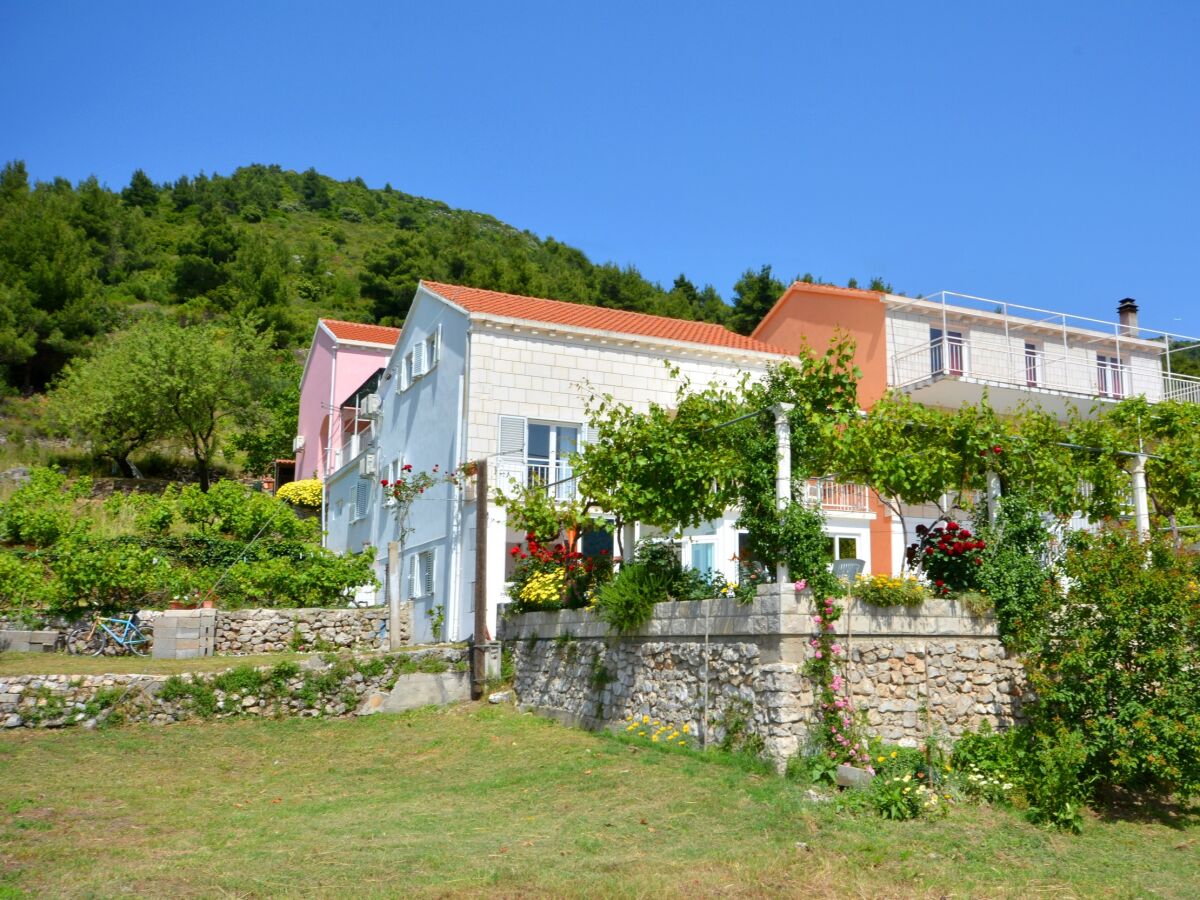 Apartment One bedroom apartment with terrace Žuljana, Pelješac A-252-c - Outdoor photo 2
