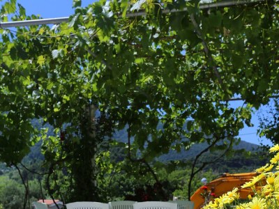 Apartment One bedroom apartment with air-conditioning Žuljana, Pelješac A-252-e - Outdoor photo 6