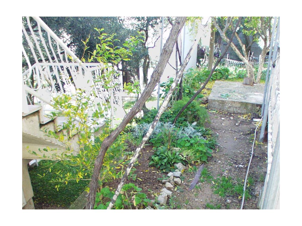 Holiday room (pet friendly) Žuljana, Pelješac S-256-c - Outdoor photo 4