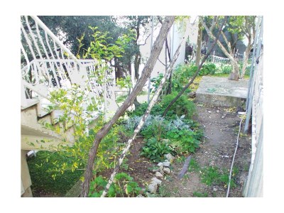 Holiday room (pet friendly) Žuljana, Pelješac S-256-c - Outdoor photo 4